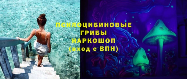 винт Аркадак