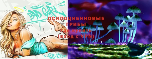 винт Аркадак