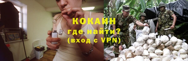 ПСИЛОЦИБИНОВЫЕ ГРИБЫ Сатка